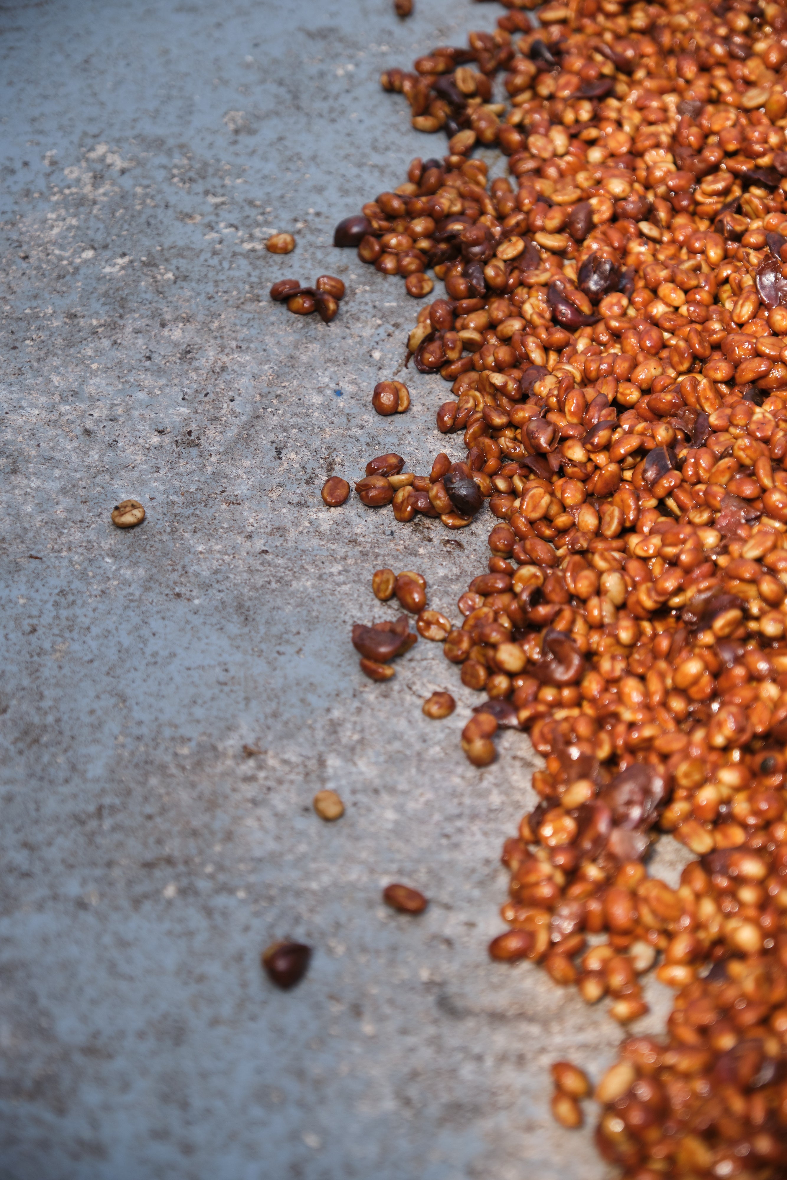 Costa Rica ANAEROBIC DOUBLE DIAMOND NATURAL Finca San Luis | Moderner Filterkaffee