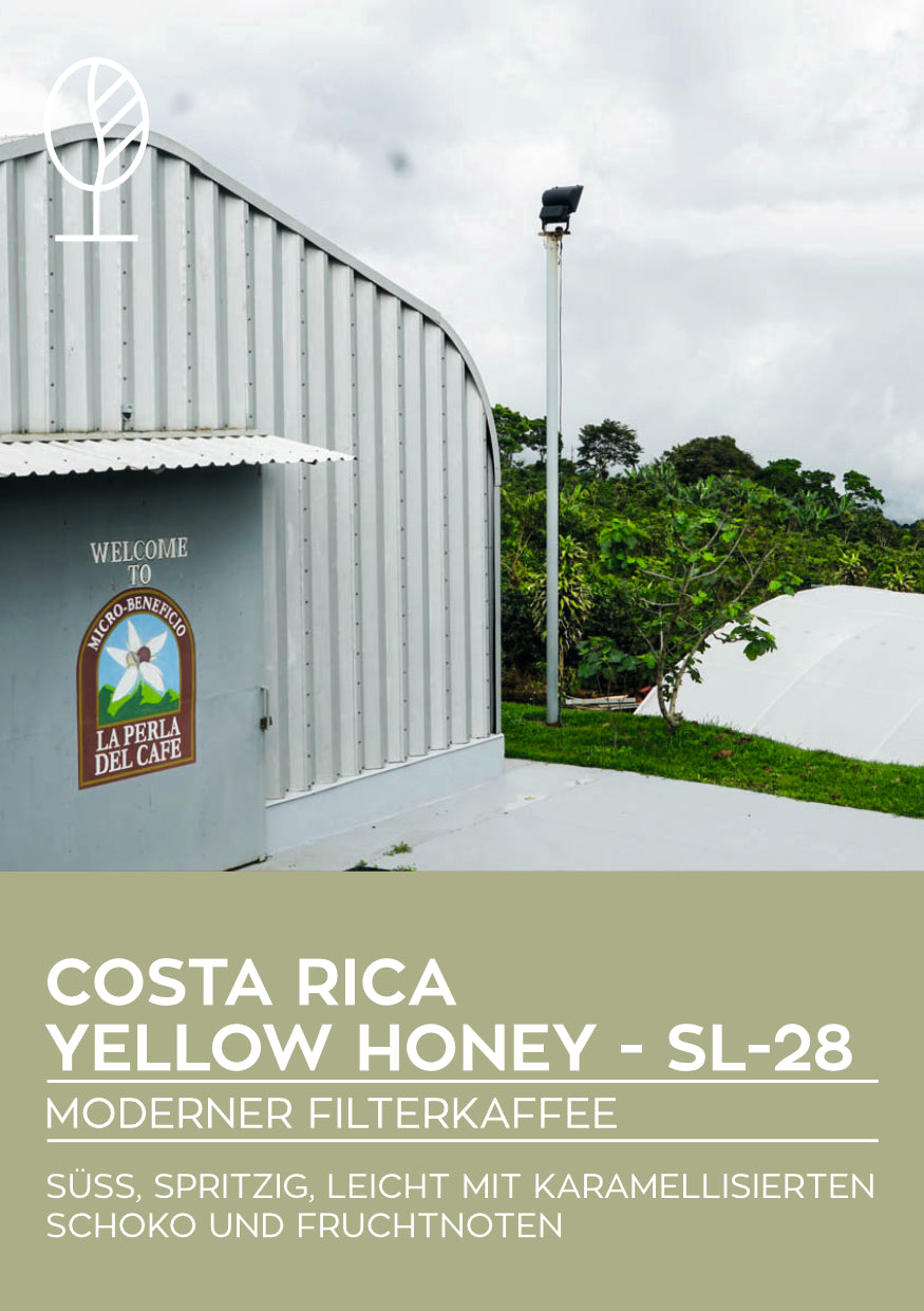 Costa Rica, Perla del Café, Yellow Honey SL-28 | Moderner Filterkaffee