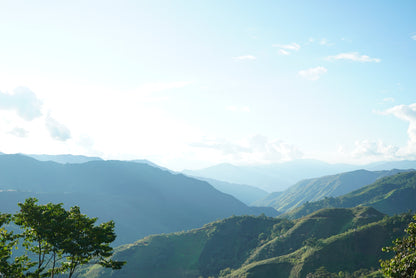 PERU HONEY YEAH! | Moderner Espresso