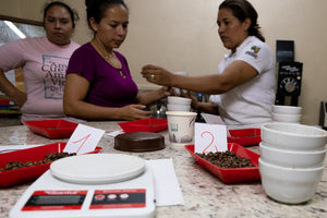 Nicaragua  | Moderner Filterkaffee
