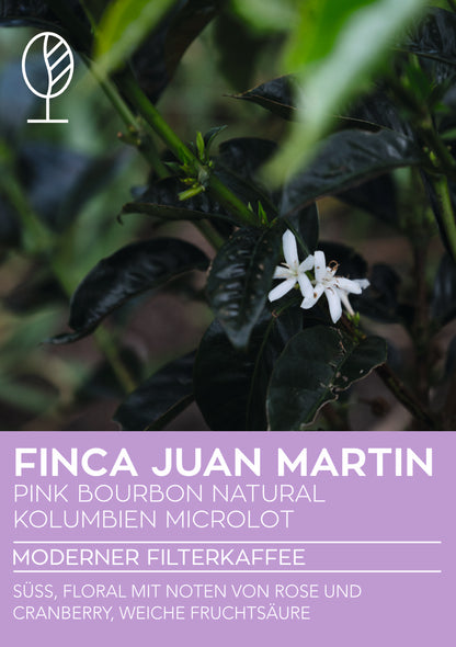 Kolumbien NATURAL PINK BOURBON Finca Juan Martin | Moderner Filterkaffee