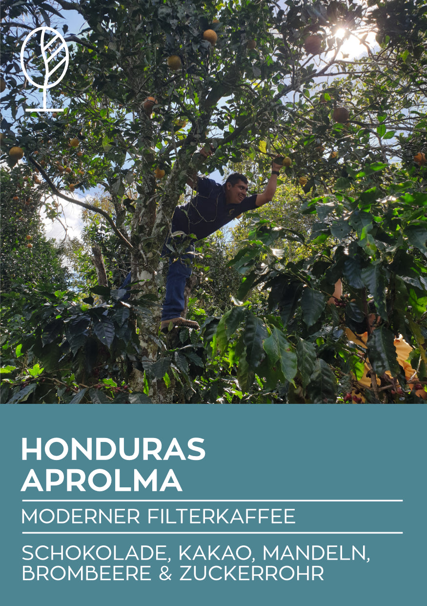 Honduras Aprolma | Moderner Filterkaffee