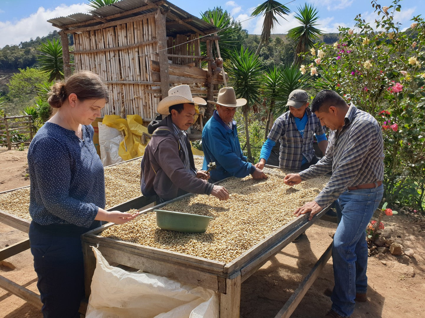 Honduras Aprolma | Moderner Filterkaffee