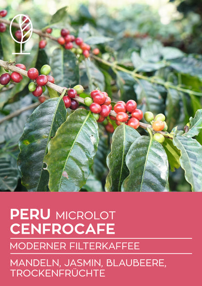 Peru Cenfrocafe Microlot | Moderner Filterkaffee