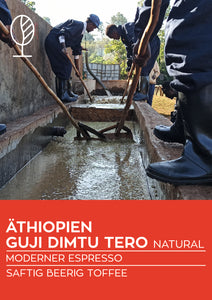 ÄTHIOPIEN GUJI Dimtu Tero Farm NATURAL | Moderner Espresso