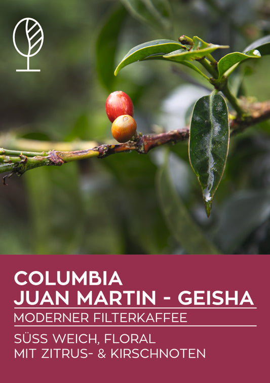 Kolumbien GEISHA, Juan Martin | Moderner Filterkaffee