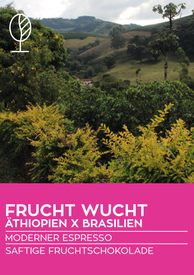 FRUCHT WUCHT Äthiopien X Brasilien | Filterkaffee oder moderner Espresso