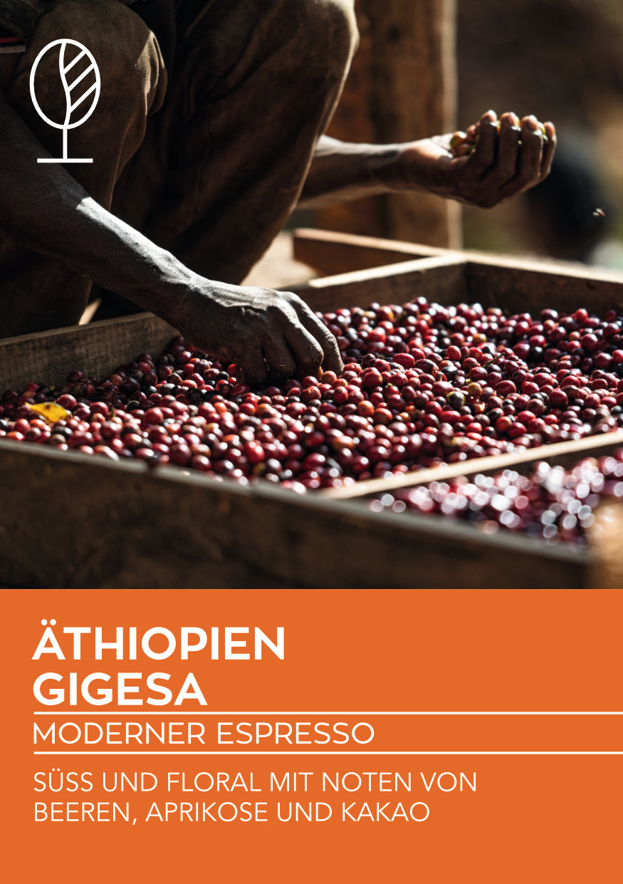 Äthiopien Guji Gigesa, natural | Moderner Espresso