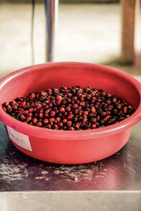 Kolumbien Sotará, natural | Moderner Filterkaffee