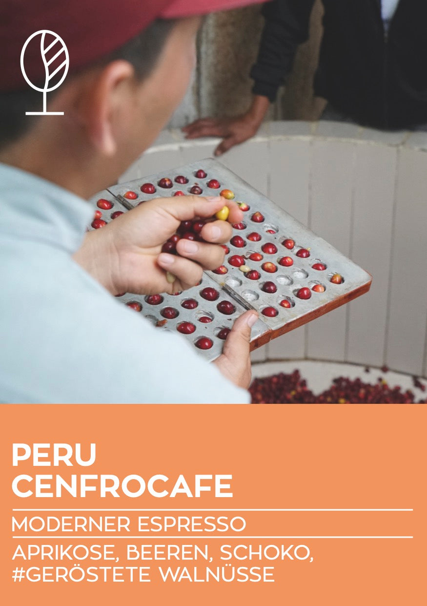 PERU CENFROCAFE | Moderner Espresso / Klassischer Filterkaffee